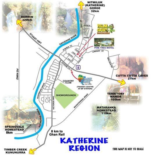 Palm Court Backpackers Hostel Katherine Kültér fotó