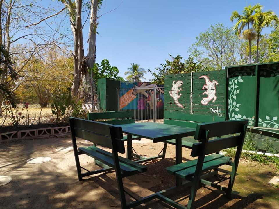 Palm Court Backpackers Hostel Katherine Kültér fotó